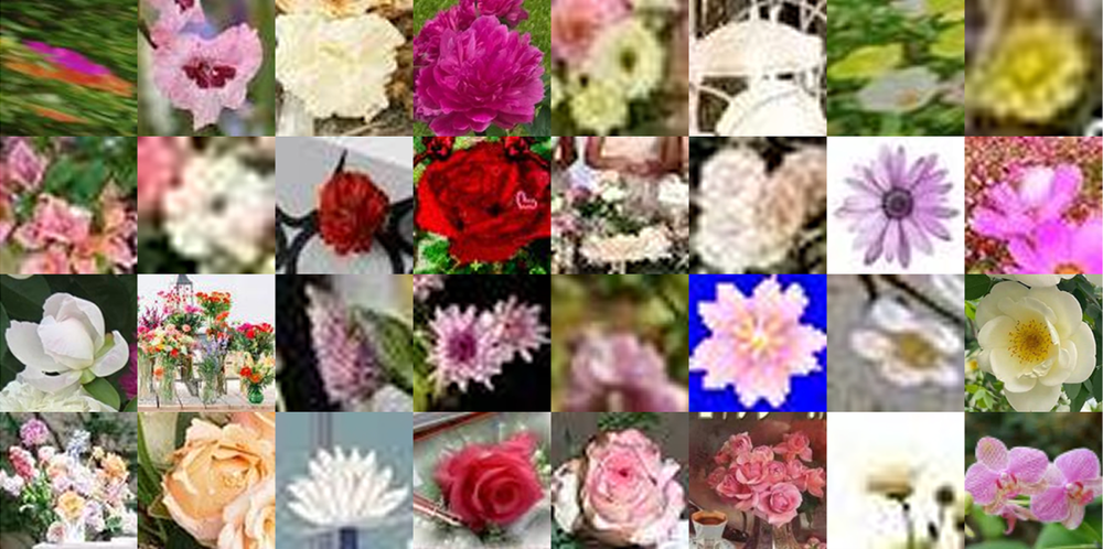 internet.flowers by Mika Ben Amar